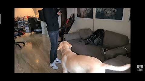 TSMent Neoo Vs TSM ent Kiwi | Funny video TSM bootcamp | Reunion| Pubg Mobile