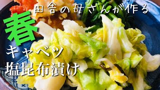 田舎の母さんが作る 春キャベツの漬物 塩昆布漬けのレシピ 出来上がりまで2 3時間 信州春の風景 Youtube 田舎の母さんが作る 春キャベツの漬物 塩昆布漬けのレシピ 出来上がりまで2 3時間 信州春の風景 Youtube