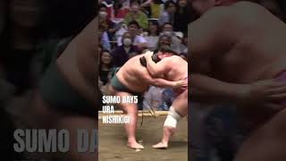 SUMO NISHIKIGI-URA　＜TOKYO May DAY5＞#shorts
