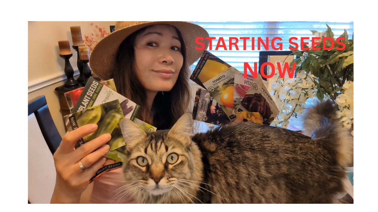 Starting Seeds 🌱 Soil Prep & Seedling Trays for Spring Garden 2026 (Tomatoes, Peppers & More!)