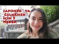 Japonya`ya Gelmemek İçin 5 Neden | Ayşegül Japonya`da Neler Kötü Anlatıyor