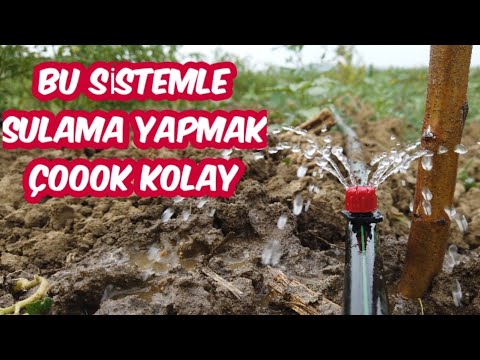 Video: Donma veya buzdolabı damlama sistemi yok: tanımı, her iki sistemin özellikleri, artıları ve eksileri, seçim için ipuçları