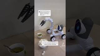 Обучение робота #clicbot 🤖🎓 Обучение робота #clicbot 🤖🎓
