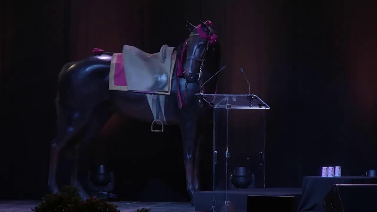 Voeux à la Population