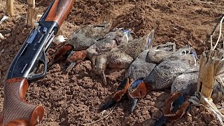 SEZON KAPANIŞI! Mısır Tarlasında Ördek Avı 2021 LİMİTLERİ DOLDURDUK!Duck Hunting/Охота на утку