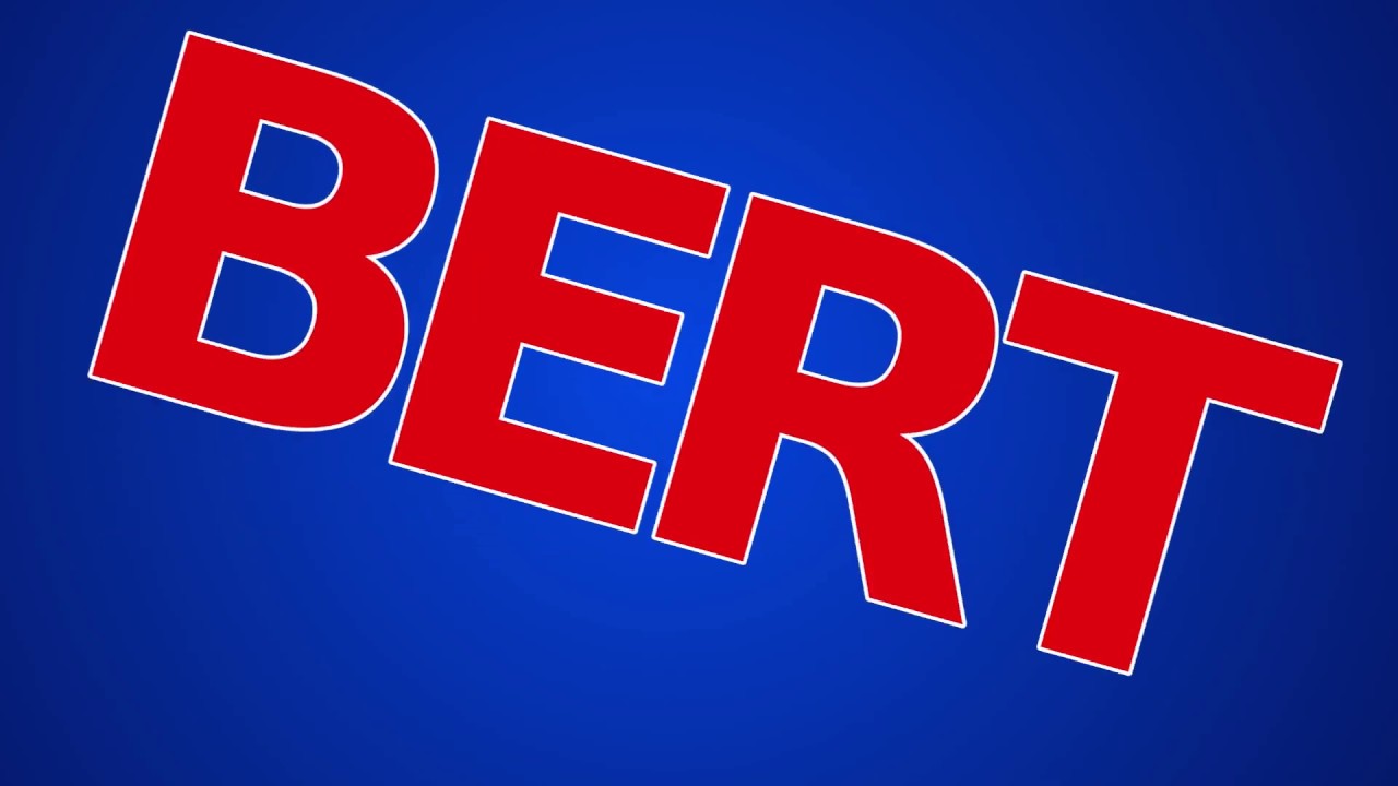 BERT Google Algorithm Search Update - SEO