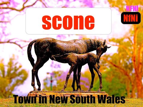 Scone Town in New South Wales | Hunter Region | Australia Travel | New Face New Idea 2021