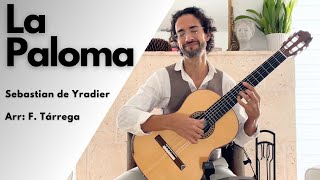 La Paloma for Solo Guitar (Yradier / Tárrega) | Diego Alonso (classical guitar)