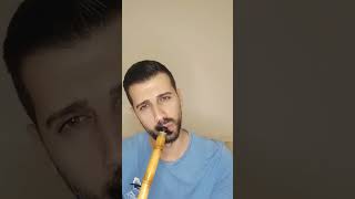 Salih Yurttaş - Aklı Yok _ Ney