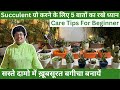 Succulent The Camel of Plant World | Succulent ग्रो करने के लिए 5 बातों का रखे ध्यान