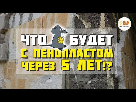 Video: Эмне үчүн пенопласт блоктору жакшы