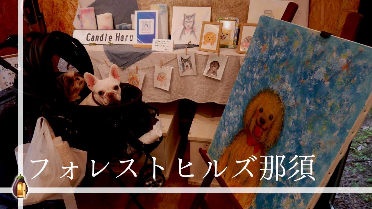 【愛犬と那須】関東最大級の施設に宿泊「ホテルフォレストヒルズ那須」で愛犬の好奇心をくすぐりたい！