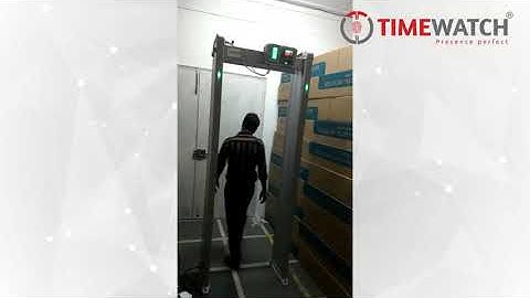 Door Frame Metal Detector DFMD 6-Zone (TW-D2101)