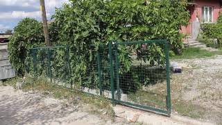ADRİAN GAYRİMENKUL' DEN EDİRNE SAZLIDERE KÖYÜNDE SATILIK KÖY EVİ VE BAHÇESİ