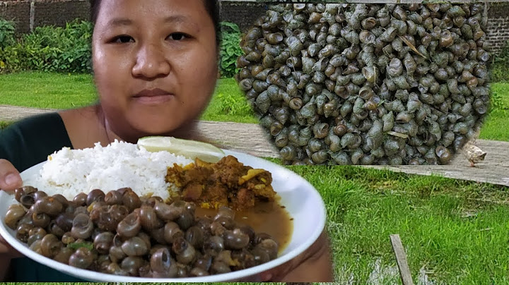 Snail Cooking and Eating | Healthy Snail Recipe | Cooking I Village Cooking