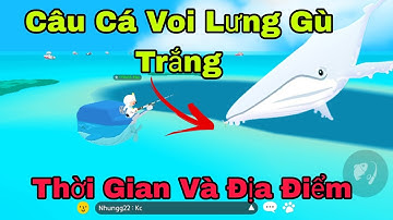 (Play Together) Câu Cá Voi Lưng Gù Trắng + Thời Gian Và Địa Điểm | CÁ Play