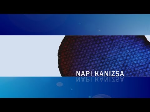 Kanizsa TV NAPI KANIZSA  Neked munka  nekem álom kampány  Nagykanizsán