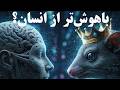 آیا انسان واقعا باهوش ترین موجود زمینه دروغ بزرگ مغز