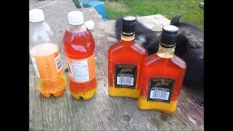 Skunk Trapping and removing essence