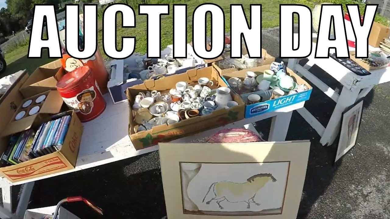 Tailgate Auction Buying Box Lots - Trying some NEW Things
