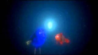 Finding Nemo Intro Bio Project 2014