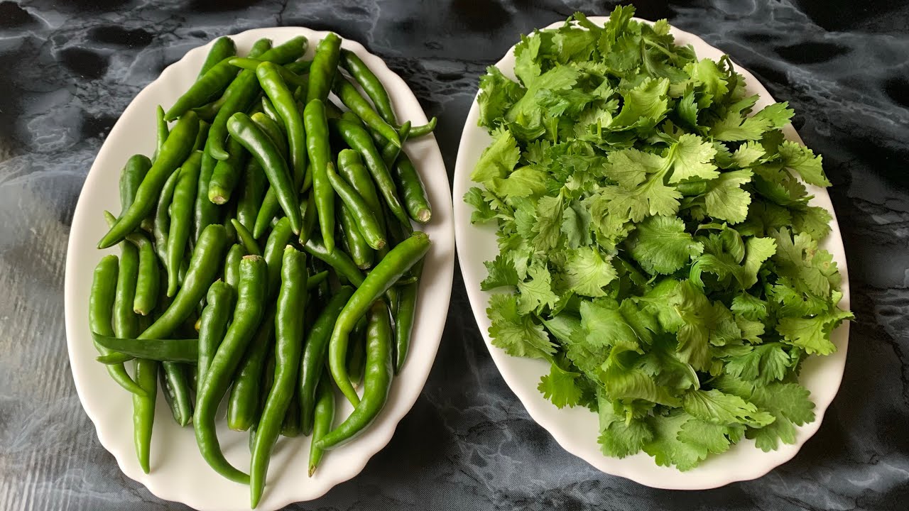 How To Keep Fresh Coriander & Green Chillies In Fridge For 10 To 15