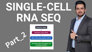 Single Cell RNA Seq analysis: Quality Control, Normalization, and Clustering : Lecture 2