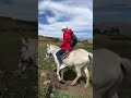 Принц на белом коне. 🤣 Первый раз верхом сам). Анды, 4000 м, Куско, Перу