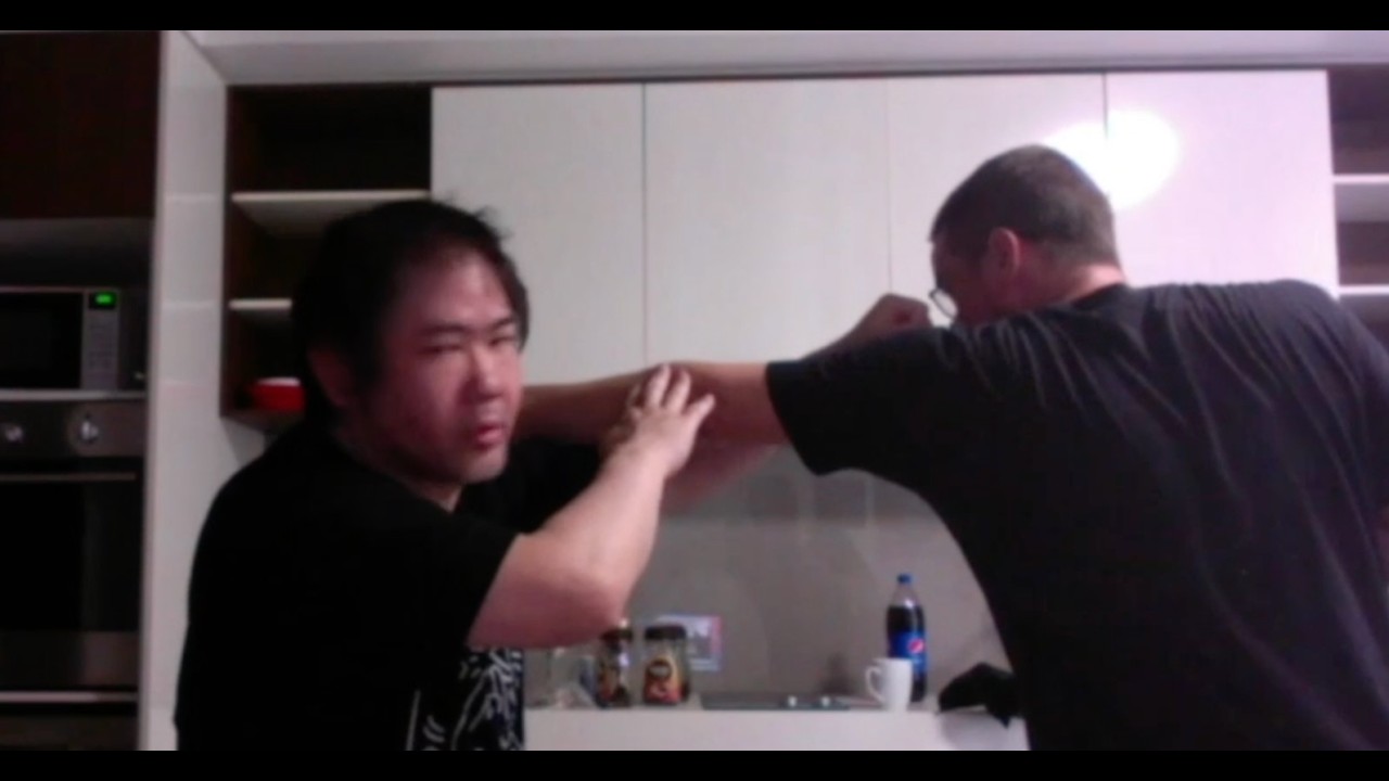 MMA For Self Defense   With My Training Partner   Close Quarters