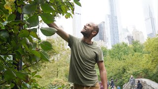 Foraging Walk in Central Park, NYC. Food is Growing EVERYWHERE!
