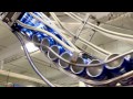 Outside the Game: Brewery Tour