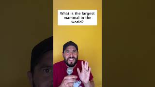 How many trivia questions can you get right #trivia #quiz
