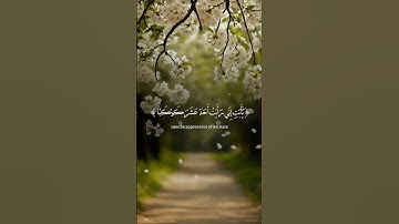 #القرءان #سورة يوسف #المصحف #الرحمن #دويتو #اكسبلور