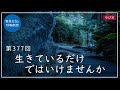 第377回「生きているだけではいけませんか」2022/1/18【毎日の管長日記と呼吸瞑想】| 臨済宗円覚寺派管長 横田南嶺老師