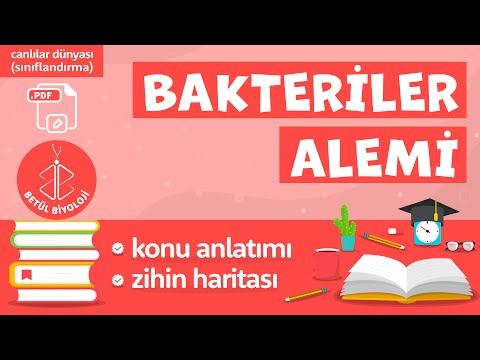 Bakteriler Alemi | TYT Biyoloji | 9. Sınıf Biyoloji #sınıflandırma #YKS2022 #TYTbiyoloji