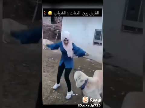 الفرق بين الشباب والبنات مع الكلب