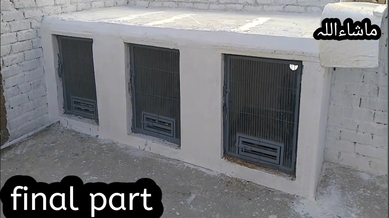 Final look My aseel breeding setup.            .14 March 2025