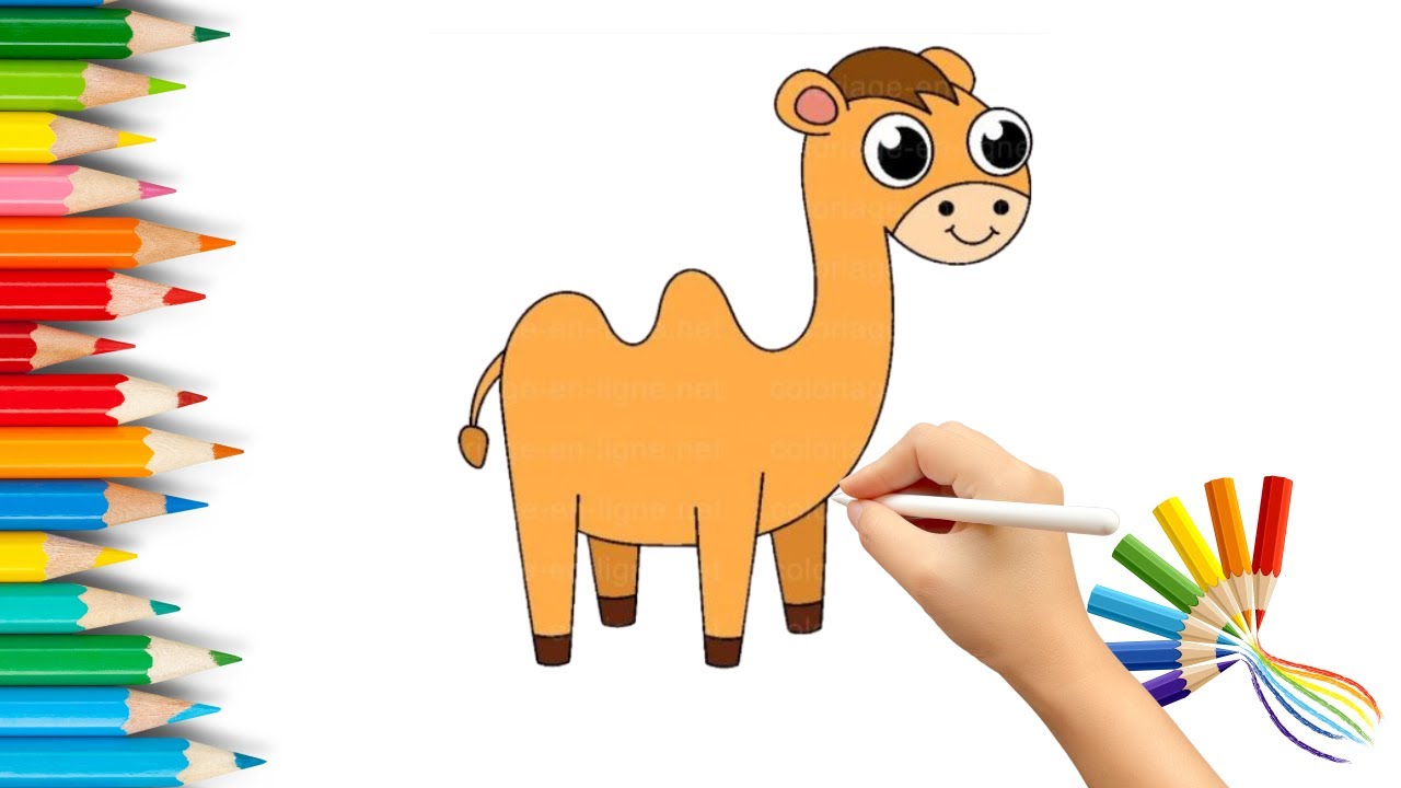 camel 🐪 Drawing, Painting, Coloring ✏🎨🖌 for Kids and Toddlers . How to Draw Together