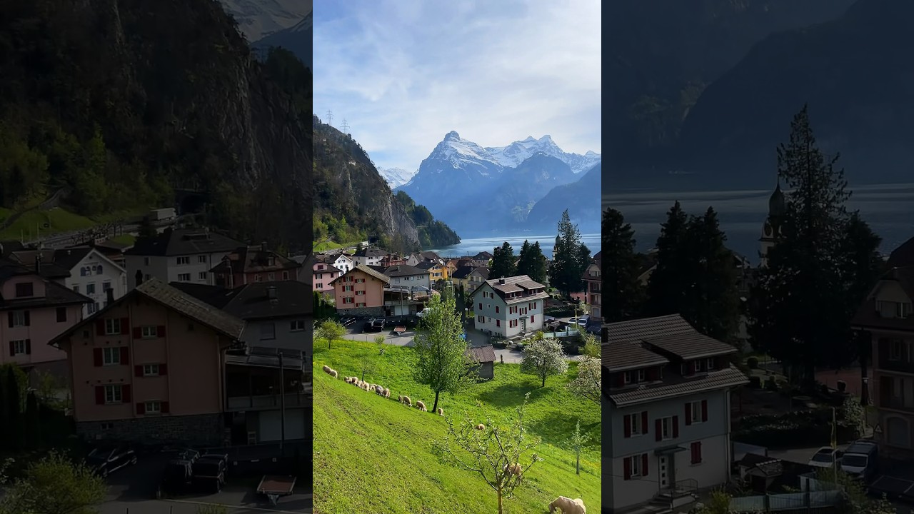 Locations across Europe 🇫🇷🇨🇭🇩🇪#travel #nature #france #switzerland #germany #scenery #content