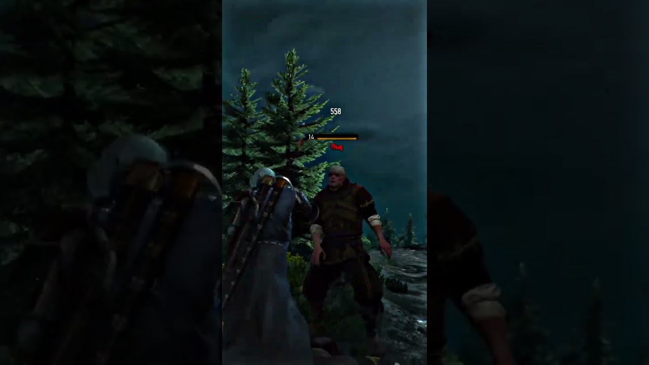 ALL FINISHERS in the Witcher 3 shorts YouTube