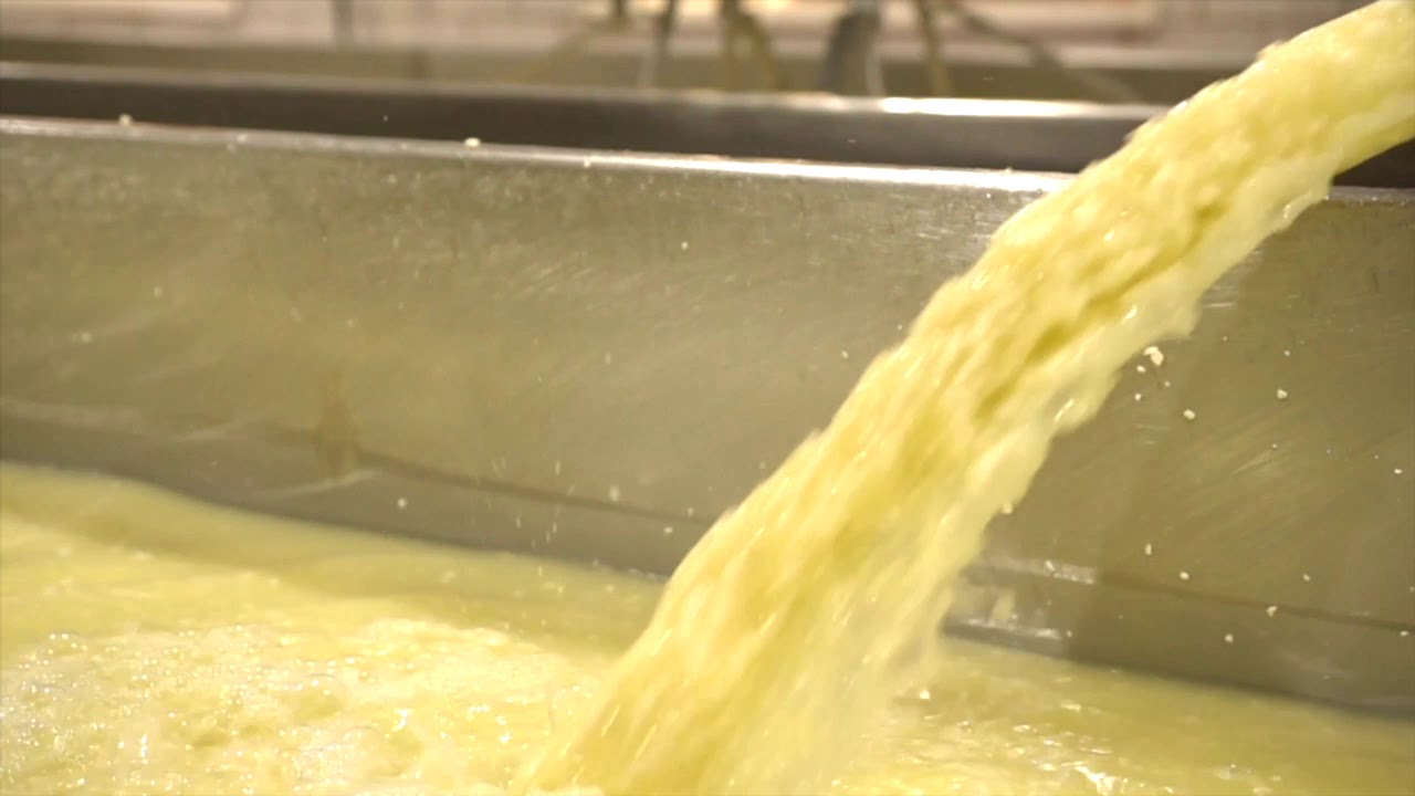 Cheese making tour HD 720p YouTube
