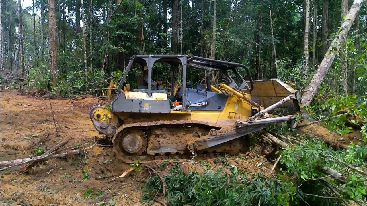 Buldoser membuka hutan untuk jalan#buldozer#hutankalimantan@dadiedandel1353