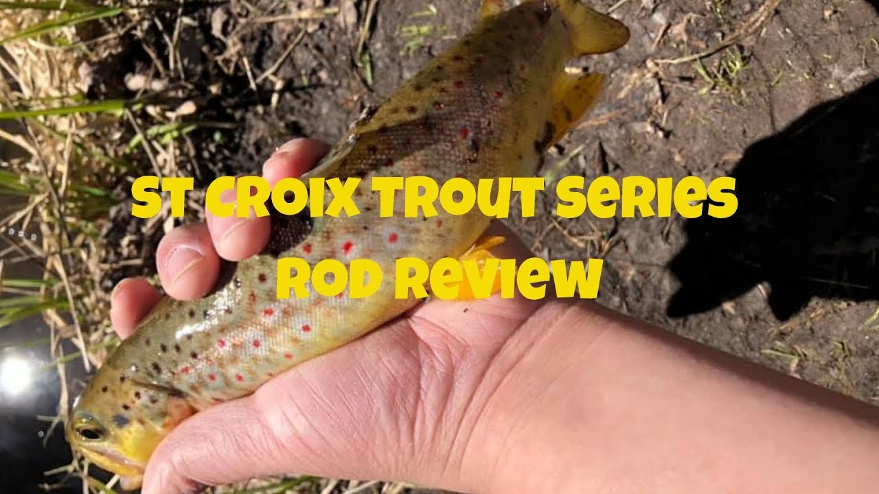 St. Croix Trout Series Spinning Rod