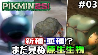 【ピクミン251 #03】ひび割れたミウリンのデザインが一番好き【EquuStream V#185】