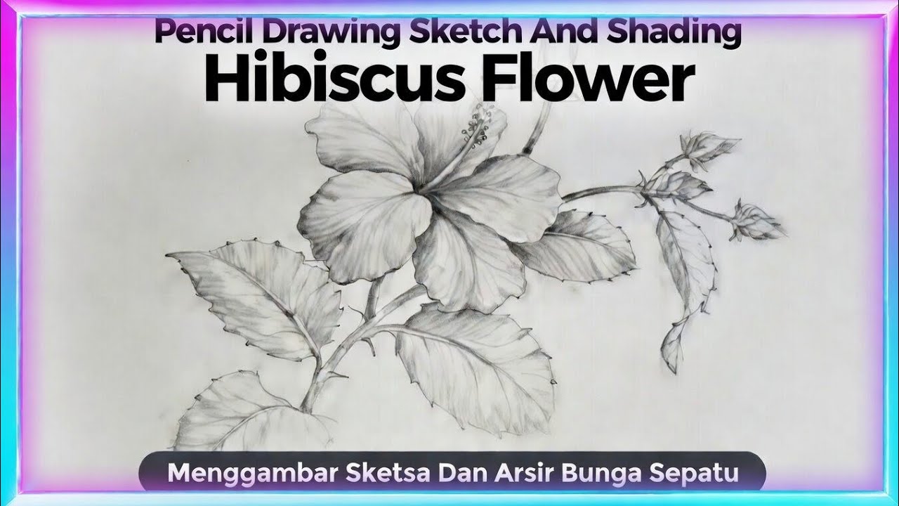Pencil Drawing  Sketch And Shading Hibiscus Flower Belajar Menggambar Sketsa Dan Arsir Bunga Sepatu