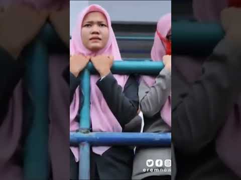 Video: Dalam arti cambuk?