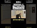 極真空手世界チャンピオンの下段蹴りを受けるトム・ブラウン布川www#極真空手 #トムブラウン #オズワルド #オズブラウン #オズブラ