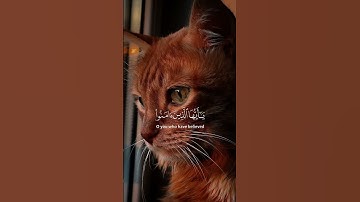 اكتب شيء تؤجر عليه يوم القيامة 😴🖤 #القرآن_الكريم #آيات_الرحمة #راحة_نفسية