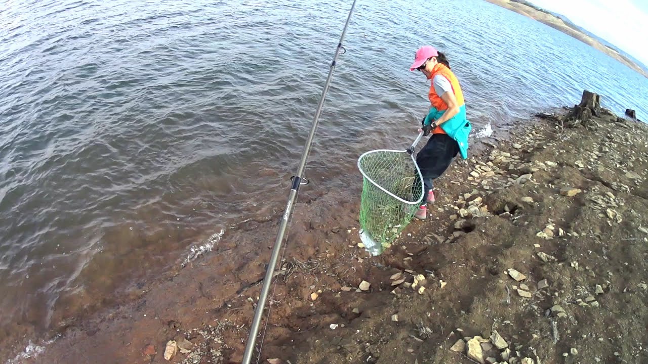 trout are coming back to the shore...winter trout fishing at New Melones Lake, catching and cooking