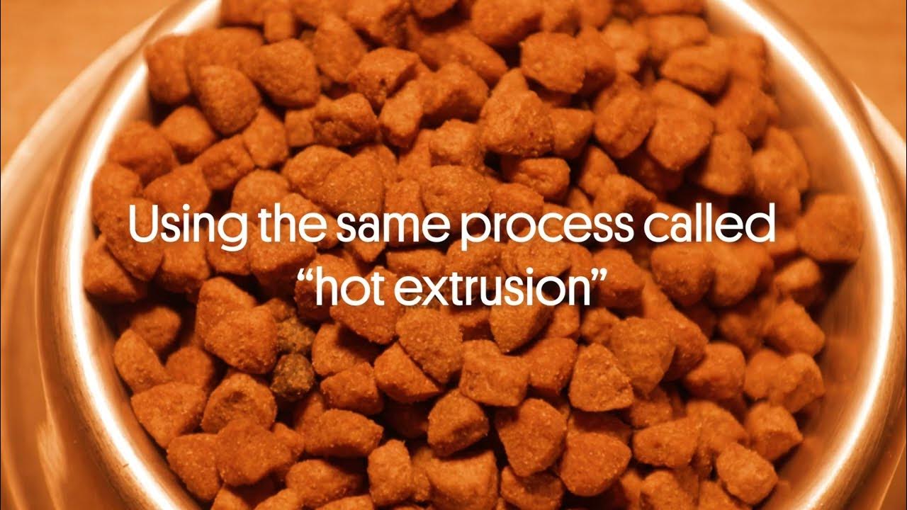 Dogs Deserve Better Than Hot Extruded Kibble YouTube